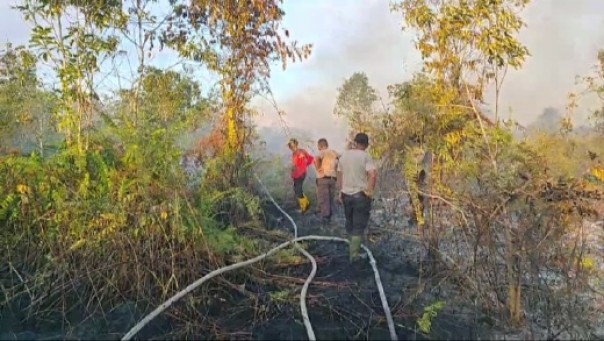 Jelang Tahun Baru 2020, 2 hektare Lebih Lahan Warga di Kecamatan Bantan Bengkalis Terbakar